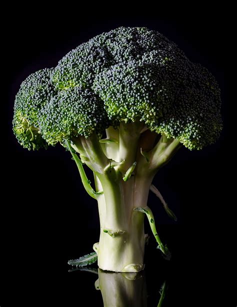 Royalty Free Photo Broccoli Vegetable Pickpik