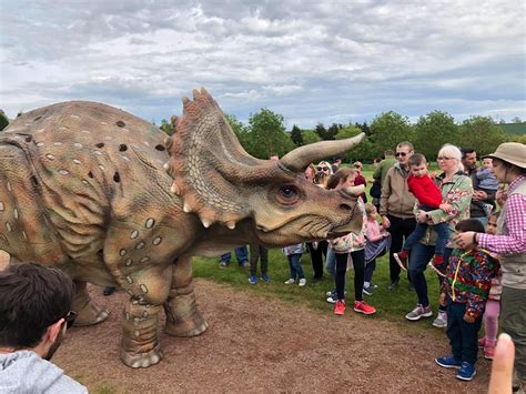 Hire A Triceratops Walking Triceratops Dinosaur Tank The Triceratops