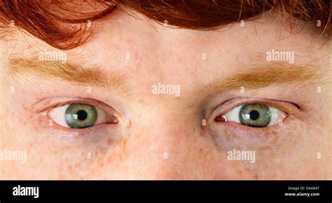 Grne Augen Fotos Und Bildmaterial In Hoher Auflösung Alamy