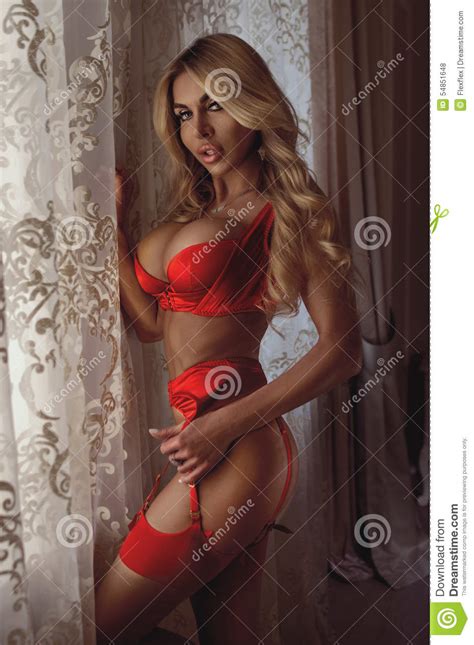 femme blonde sexy avec de longs cheveux dans la lingerie photo stock image du femelle