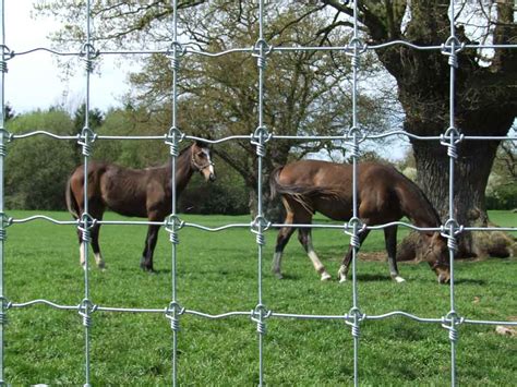 High Tensile Fence For Horses Ubicaciondepersonascdmxgobmx