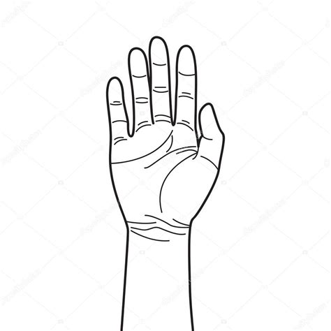 Simple Hand Line Art ⬇ Vector Image By © Alxyoel Vector Stock 106136636