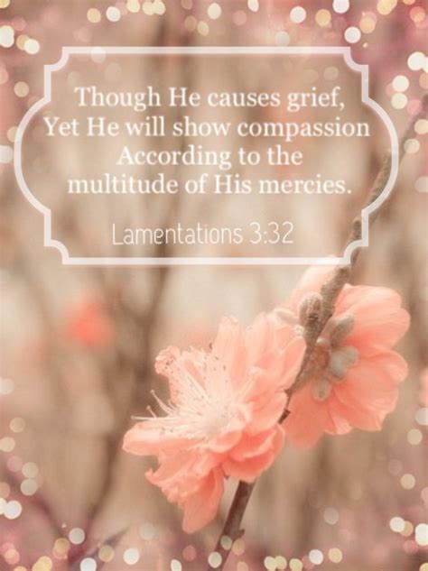 Lamentations 332 Kjv But Though He Cause Grief Yet Will He Have