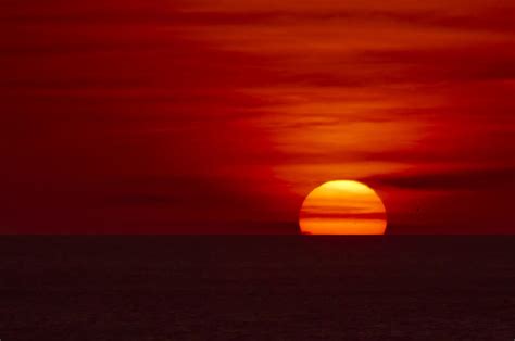 Red Sky At Night Sailors Delight Photograph By Edelberto Cabrera