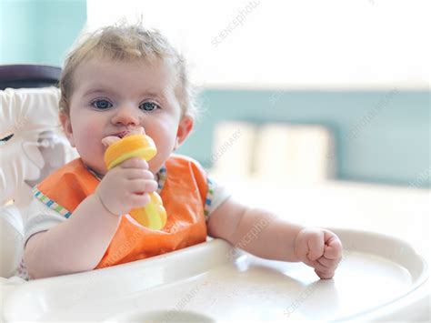 Baby Girl Chewing On Toy Stock Image F0147982 Science Photo Library