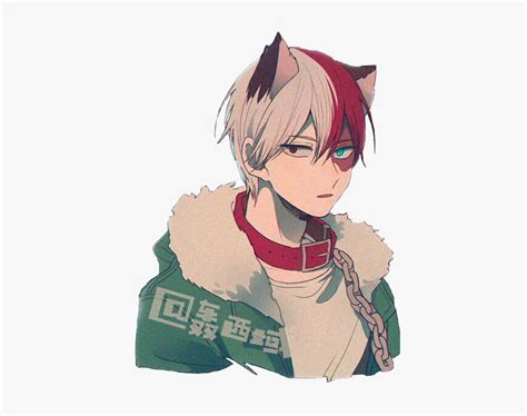 Shoto Todoroki Neko Art Png Image With Transparent Background Toppng Images The Best Porn Website