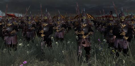 Warhammer 2's latest race, and its first since the tomb kings way back in january. Vampire Counts 6 image - Call of Warhammer: Total War. (Warhammer FB) mod for Medieval II: Total ...