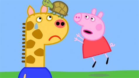 Peppa Pig Français Gérald Girafe Dessin Animé Pour Bébé Youtube