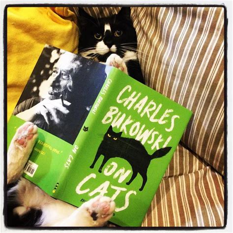 On Cats By Charles Bukowski Cat Books Books Online Pet Store
