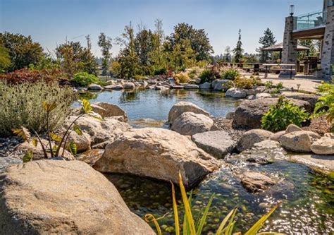 What Does A Swim Pond Cost Fontana Ponds And Water Features