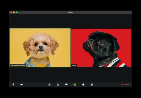 Microsoft's biggest rival in the video conferencing space is of course zoom, which boasts a lot of functionality. Teams Hintergründe Lustig : Microsoft Teams backgrounds ...