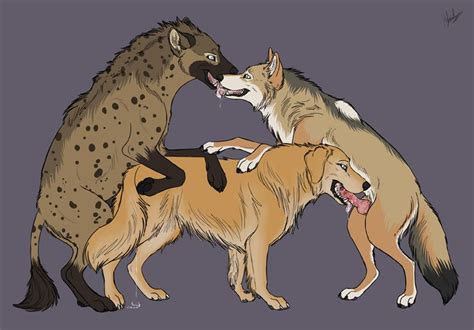 Rule 34 Bird Dog Canid Canine Canis Coyote Doggy Style Domestic Dog