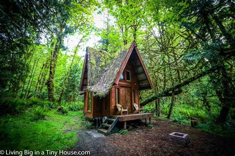 Living Big In A Tiny House This Enchanting Cabin In The Forest Will