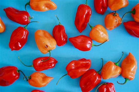 Spicy Food Health Benefits Chili Peppers Linked To Longer Life In Study