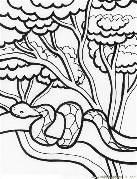 Forest coloring pages let kids check out all the trees, plants, and animals found in the forest. Rainforest%2b2 Coloring Page - Free Forest Coloring Pages ...