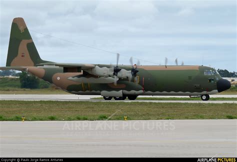 16801 Portugal Air Force Lockheed C 130h Hercules At Sintra Photo