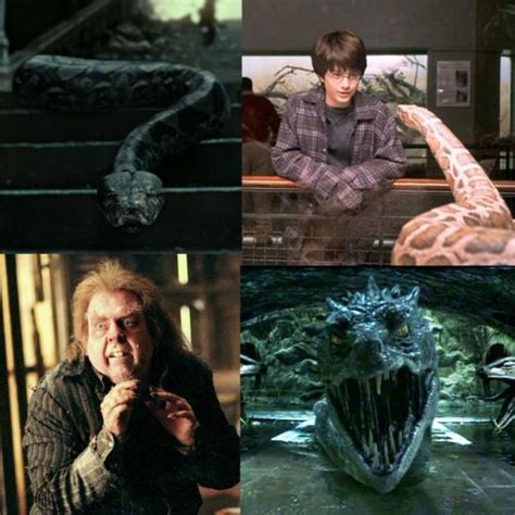 The Biggest Snakes Throughout Harry Potter Rharrypotter