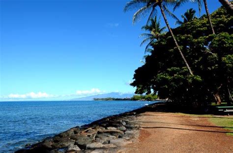 The All Ways Mauid Launiupoko Beach Park Pictures Page