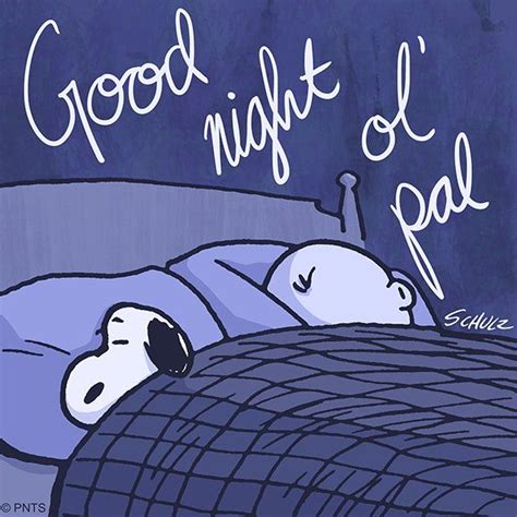 Pin By Donora Aarstad On Peanuts Goodnight Snoopy Snoopy Pictures