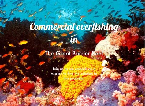 Commercial Overfishing In The Great Barrier Reef On Flowvella