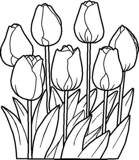 Add color to pictures of your favorite animals, interesting objects, yummy food, fun activities, vacation spots, beautiful flowers, conservation subjects and much more. Beautiful Tulip Flower Coloring Page : Kids Play Color