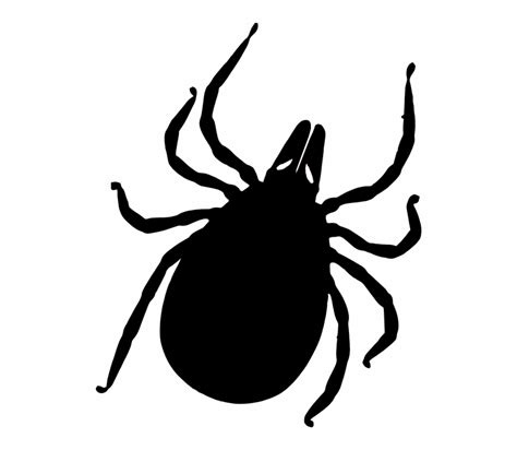 Tick Insect Png No Ticks Clip Art Transparent Png Download 919978
