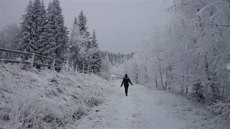 A Walk With Images Winter Wonderland Wonderland Outdoor