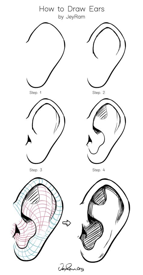 How To Draw Human Ears Step By Step