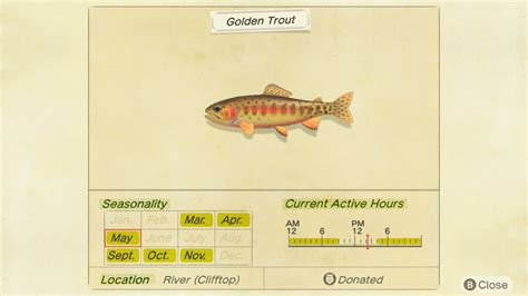 The prices listed below are in ascending order from most expensive to least expensive sell prices in. Animal Crossing New Horizons: How to Catch a Golden Trout ...