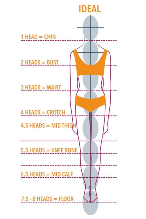 Perfect Female Body Measurements