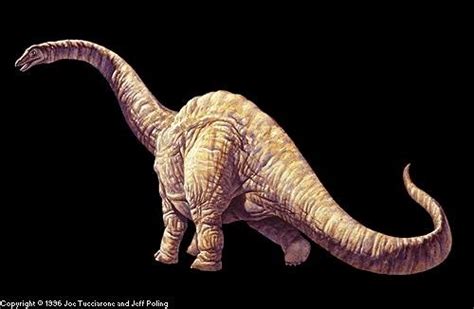 Argentinosaurus Pictures Facts The Dinosaur Database