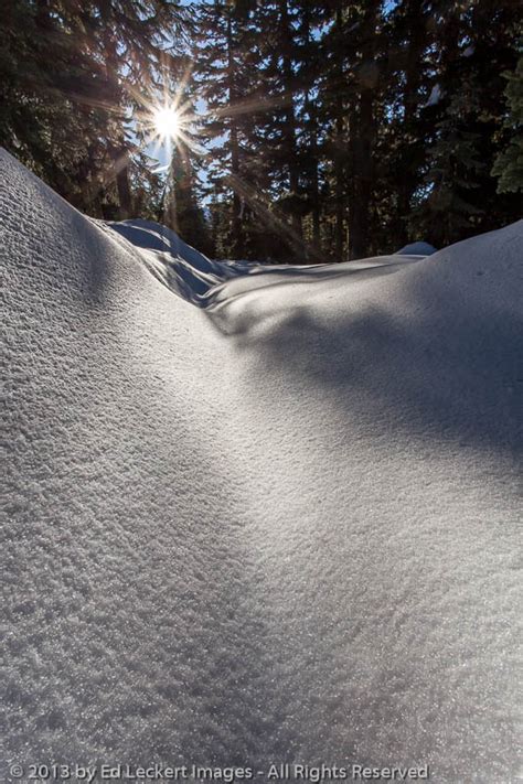 Snow Day Mount Rainier National Park Washington Ed Leckert Images
