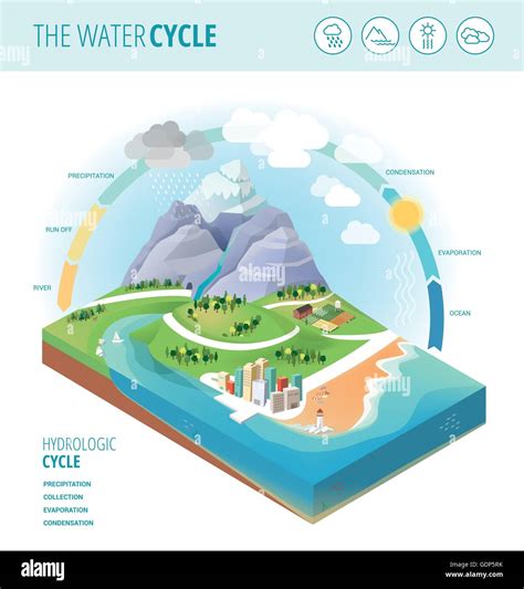 Diagrama Que Muestra El Ciclo Del Agua La Recolección De Precipitación