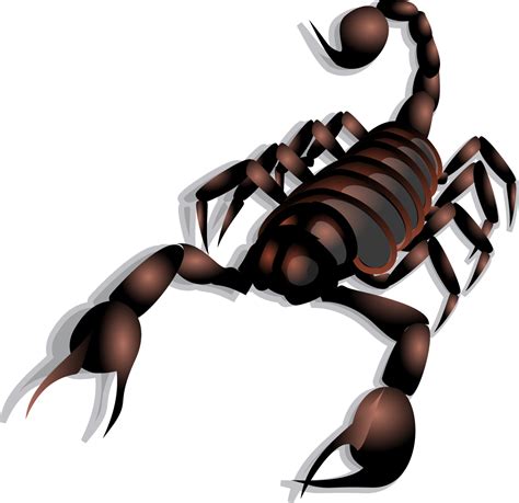 Scorpion Clip Art Vector Scorpion Png Download 11731138 Free
