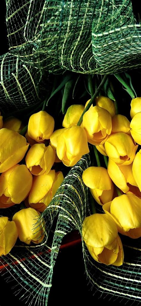 1125x2436 Resolution Tulips Flowers Yellow Iphone Xsiphone 10iphone