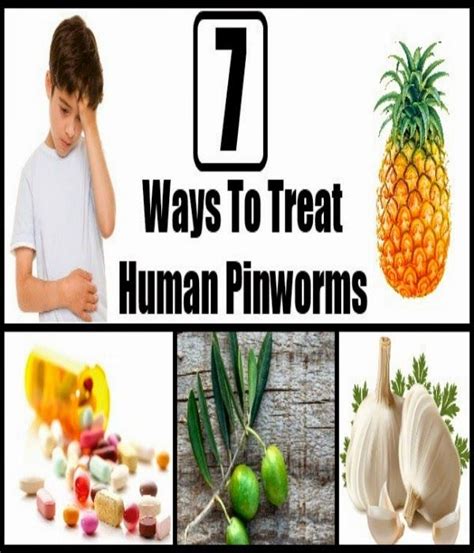 Home Remedies For Pinworms Home Remedies For Pinworms Remedies Home