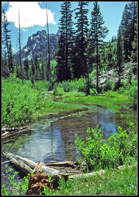 Alice Creek In Idahos Sawtooth Wilderness 1980 A Photo On Flickriver