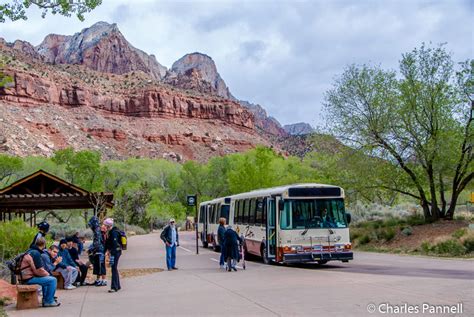 Join A Free Ranger Led Bus Tour Of Zion Canyon This Summer Emerging