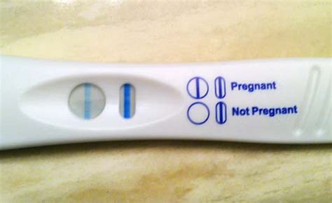4 Dpo No Pregnancy Symptoms Pregnancysymptoms