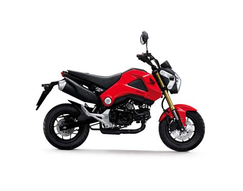 The models, the rivals and the verdict. 2014 Honda Grom - Perfect Small City Motorcycle | Tech & ALL