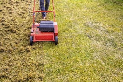 Under what circumstances does a lawn need to be aerated? When To Dethatch Bermuda Grass and How Often Should You Do It? | Pepper's Home & Garden