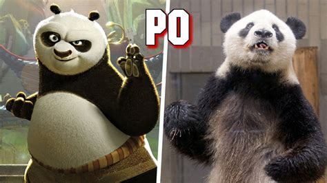 Kung Fu Panda Characters In Real Life New Youtube