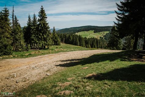 I took a green trail in the north direction and then. Góra Turbacz w Gorcach - opisane szlaki do schroniska i na ...