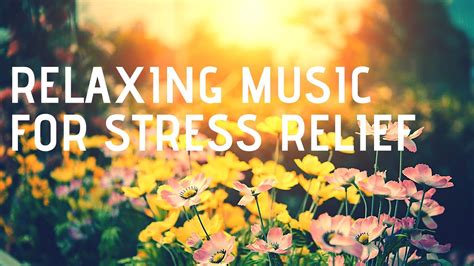 Meditation Music Beautiful Relaxing Music For Stress Relief Relax