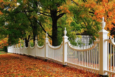 Autumn Fencing Photograph By James Kirkikis Fine Art America