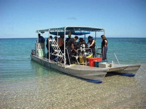 Pin On Scuba Diving Around Kadavu Fiji
