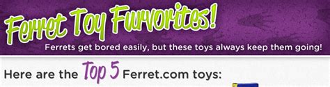 top  ferretcom toys ferretcom