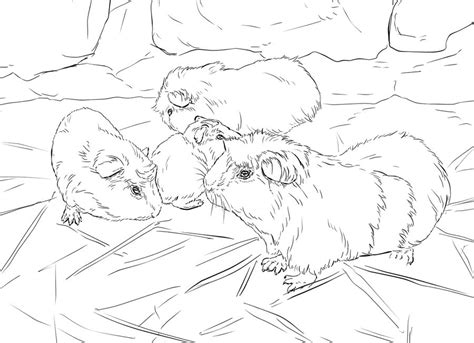 Meerschweinchen ausmalbilder zum drucken : Ausmalbilder: Meerschweinchen zum ausdrucken, kostenlos ...