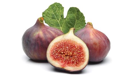 How To Grow Figs Even In Colder Climates Finegardening