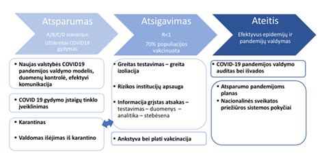 COVID Valdymo Strategija Ir Planas Lietuvos Respublikos Sveikatos Apsaugos Ministerija